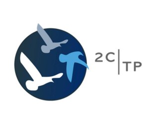 2C TP